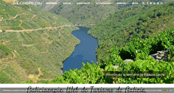 Desktop Screenshot of galiciaenpie.com